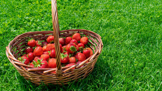 1604848 (a): :2560x1440
